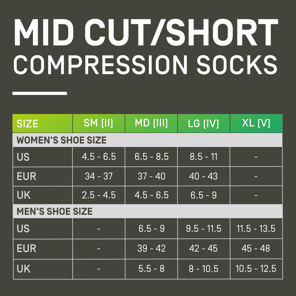The Run Compression Mid Cut Socks 4.0, Men